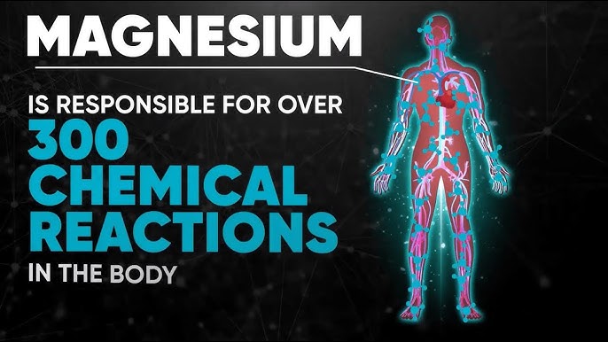 Magnesium helps 300 reactions in the body including relaxing tight muscles